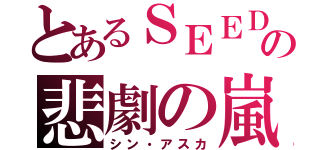 とあるＳＥＥＤの悲劇の嵐（シン・アスカ）