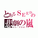 とあるＳＥＥＤの悲劇の嵐（シン・アスカ）