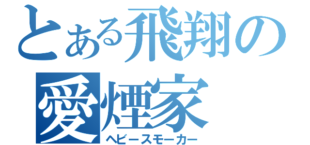 とある飛翔の愛煙家（ヘビースモーカー）