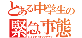 とある中学生の緊急事態（シュクダイオワッテナイ）