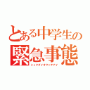 とある中学生の緊急事態（シュクダイオワッテナイ）