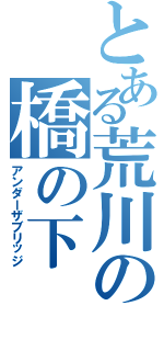 とある荒川の橋の下（アンダーザブリッジ）