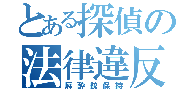 とある探偵の法律違反（麻酔銃保持）