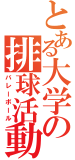 とある大学の排球活動（バレーボール）