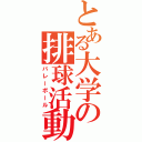 とある大学の排球活動（バレーボール）