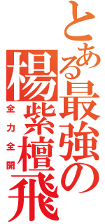 とある最強の楊紫檀飛Ⅱ（全力全開）