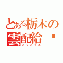 とある栃木の雲配給☁️（にっこうる）