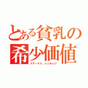 とある貧乳の希少価値（ステータス。ｂｙあんぴ）