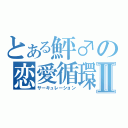 とある鮃♂の恋愛循環Ⅱ（サーキュレーション）