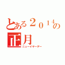 とある２０１４の正月（ニューイヤーデー）