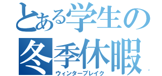 とある学生の冬季休暇（ウィンターブレイク）