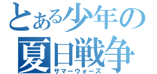 とある少年の夏日戦争（サマーウォーズ）