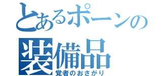 とあるポーンの装備品（覚者のおさがり）