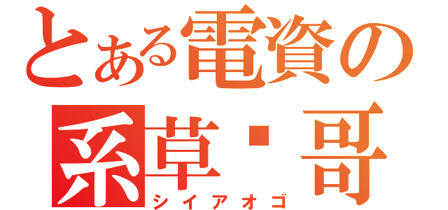 とある電資の系草洨哥（シイアオゴ）