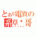 とある電資の系草洨哥（シイアオゴ）