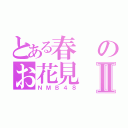 とある春のお花見Ⅱ（ＮＭＢ４８）