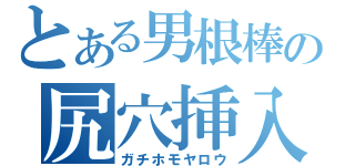 とある男根棒の尻穴挿入（ガチホモヤロウ）