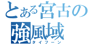 とある宮古の強風域（タイフーン）