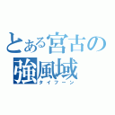 とある宮古の強風域（タイフーン）