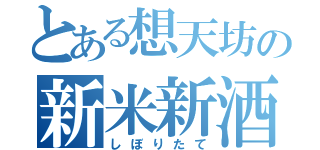 とある想天坊の新米新酒（しぼりたて）