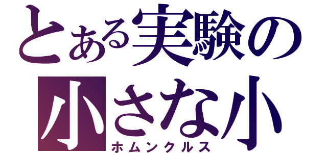 とある実験の小さな小人（ホムンクルス）