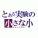 とある実験の小さな小人（ホムンクルス）