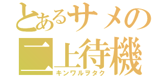 とあるサメの二上待機（キンワルヲタク）