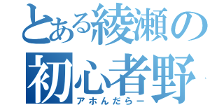 とある綾瀬の初心者野郎（アホんだらー）