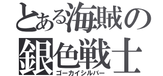 とある海賊の銀色戦士（ゴーカイシルバー）