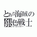 とある海賊の銀色戦士（ゴーカイシルバー）