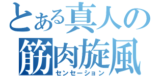 とある真人の筋肉旋風（センセーション）