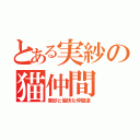 とある実紗の猫仲間（実紗と愉快な仲間達）