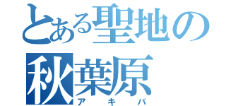 とある聖地の秋葉原（アキバ）