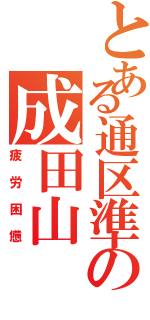 とある通区準の成田山（疲労困憊）