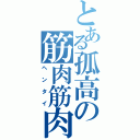 とある孤高の筋肉筋肉（ヘンタイ）