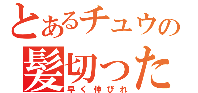 とあるチュウの髪切った（早く伸びれ）