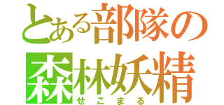 とある部隊の森林妖精（せこまる）