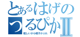 とあるはげのつるぴかりんⅡ（眩しいから帽子かぶれ）