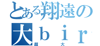 とある翔遠の大ｂｉｒｄ（超大）