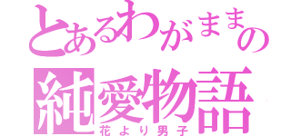 とあるわがままの純愛物語（花より男子）