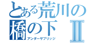 とある荒川の橋の下Ⅱ（アンダーザブリッジ）