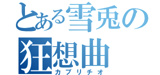 とある雪兎の狂想曲（カプリチオ）