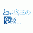 とある鸟王の兔姬（Ｒｅｂｏｒｎ）