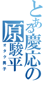 とある慶応の原駿平（オタク男子）