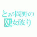 とある岡野の処女破り（）