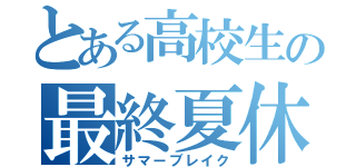 とある高校生の最終夏休（サマーブレイク）