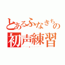 とあるふなきち姫の初声練習（♬°⋆ɱＵꑄյ͛ʗ⋆°♬）