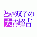 とある双子の大吉超吉（キチガイ）