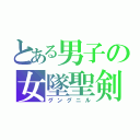 とある男子の女墜聖剣（グングニル）