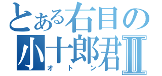 とある右目の小十郎君Ⅱ（オトン）